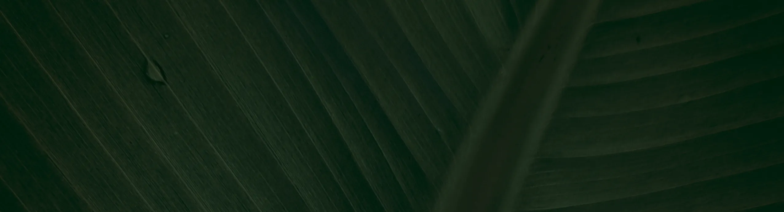 Faux Suede Square Pillow - Indoor pillow with ancient skull print