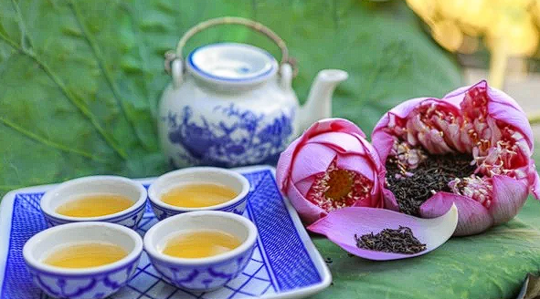 Vietnamese Tay Ho lotus tea